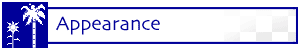 Appearance Appearance